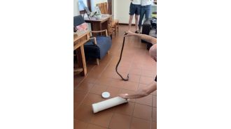 A drunken teenager woke up to find a four-foot cobra in his bed.