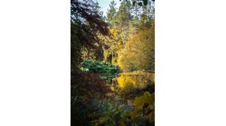 St Andrew Botanic Gardens shows that our biggest issues can be solved by changing our connection with plants.