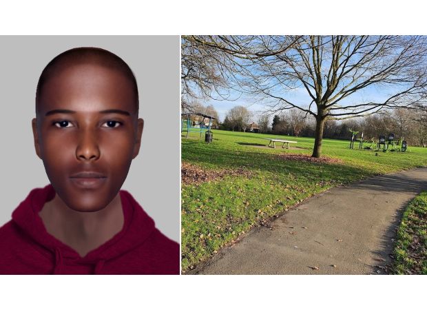 Mother assaulted in front of kids at park.