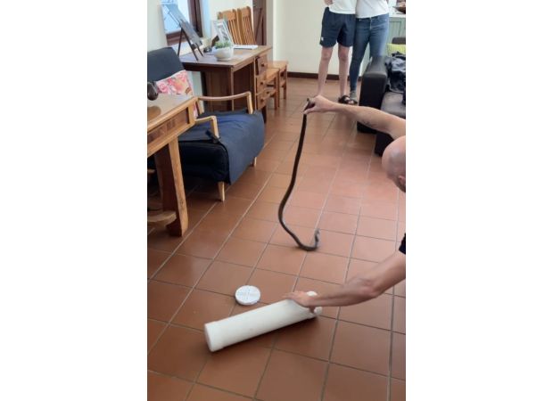 A drunken teenager woke up to find a four-foot cobra in his bed.