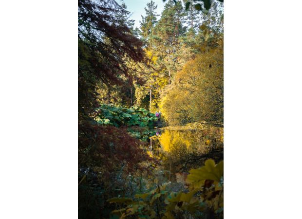 St Andrew Botanic Gardens shows that our biggest issues can be solved by changing our connection with plants.