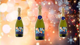 Get ready for the holiday season with the top Christmas fizz, including a delicious £4.99 option from Lidl.
