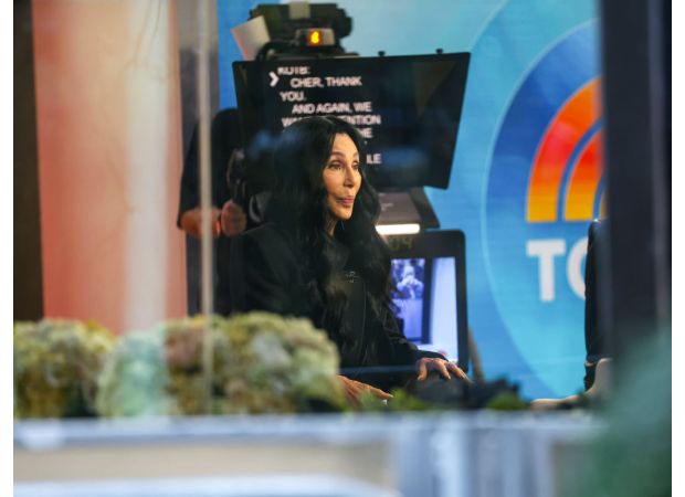 Cher calls 80s film director a 'pig' following release of controversial memoir.