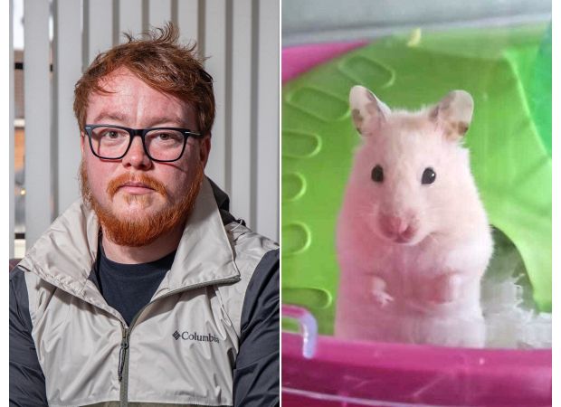 Man's life in danger after pet hamster attack.