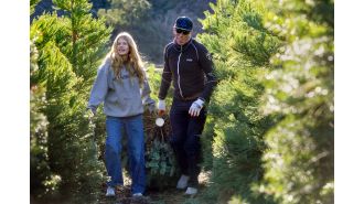 Christmas tree prices are not expected to increase significantly during the holiday season.