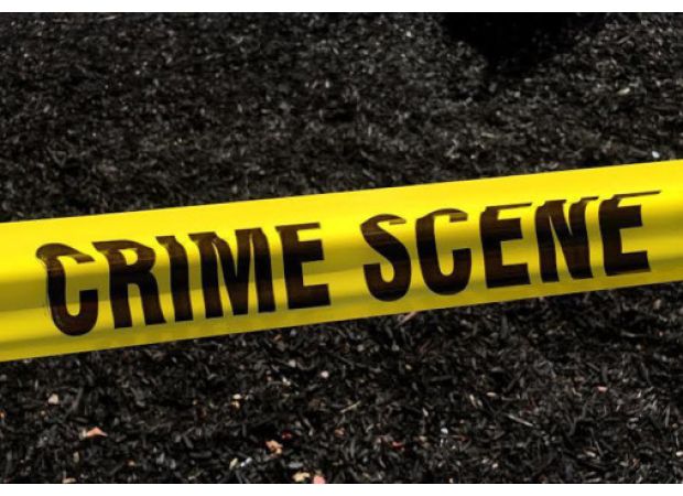 Police in San Mateo and Burlingame shot and wounded a man seen with a gun.