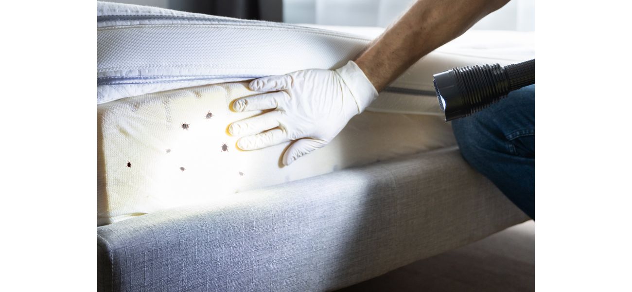 Bed bugs infested London hospitals over 500 times in a span of 7 years.