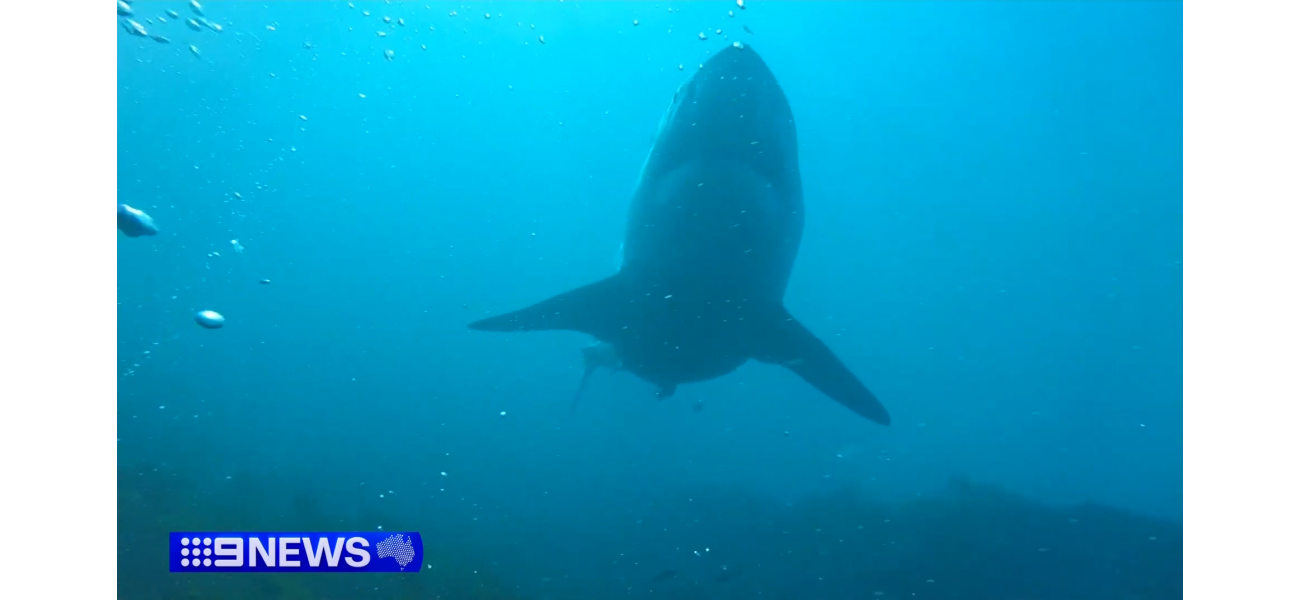 A man was hospitalized following a shark attack near the coast of Queensland.