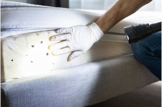 Bed bugs infested London hospitals over 500 times in a span of 7 years.