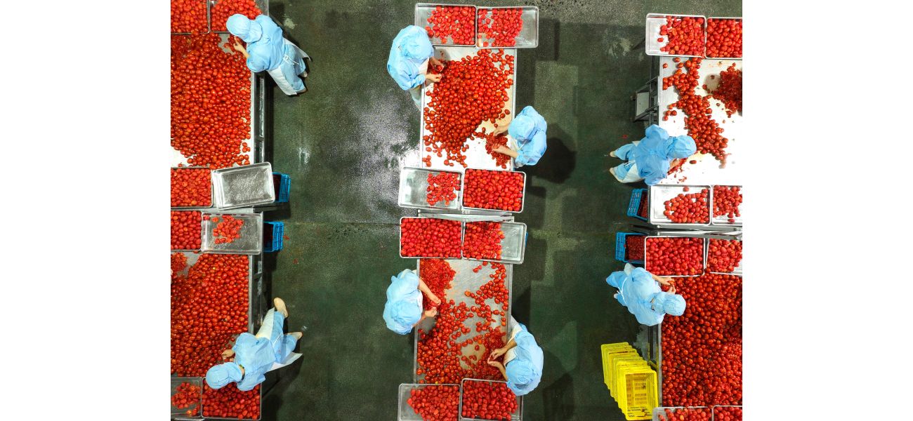 Tomato products made with forced labour from China are being sold in the UK.