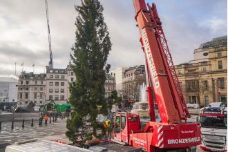Londoners are criticizing the 66ft Trafalgar Square Christmas Tree as being half-dead and a national embarrassment.