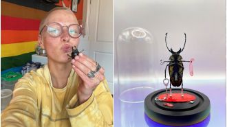 I create miniature beetle figures with adult accessories as my job.