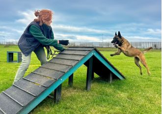 Getting attached to the dogs at Edinburgh Dog and Cat Home is unavoidable, despite attempts to resist.