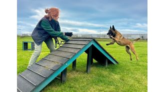 Getting attached to the dogs at Edinburgh Dog and Cat Home is unavoidable, despite attempts to resist.