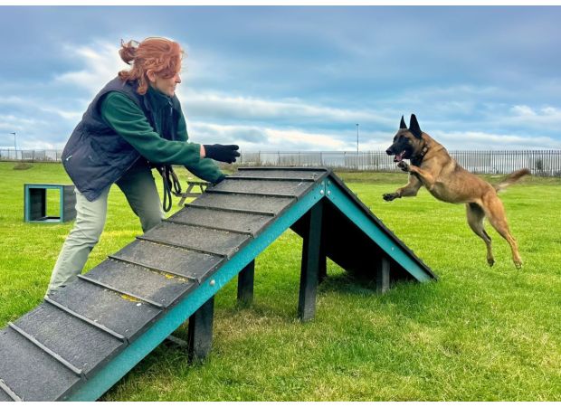 Getting attached to the dogs at Edinburgh Dog and Cat Home is unavoidable, despite attempts to resist.
