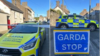 8-year-old girl killed while trying to save mom from knife assault.