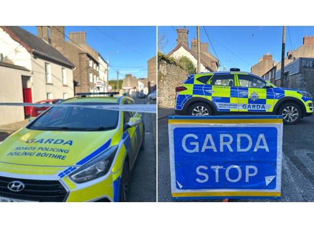 8-year-old girl killed while trying to save mom from knife assault.