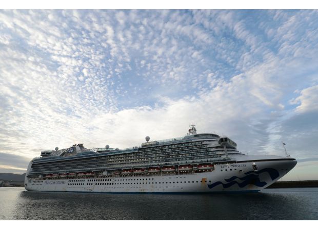 A tourist has gone missing after falling off a luxury cruise ship.
