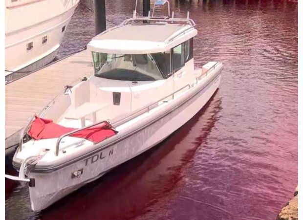 Sydney residents concerned as water turns blood red.