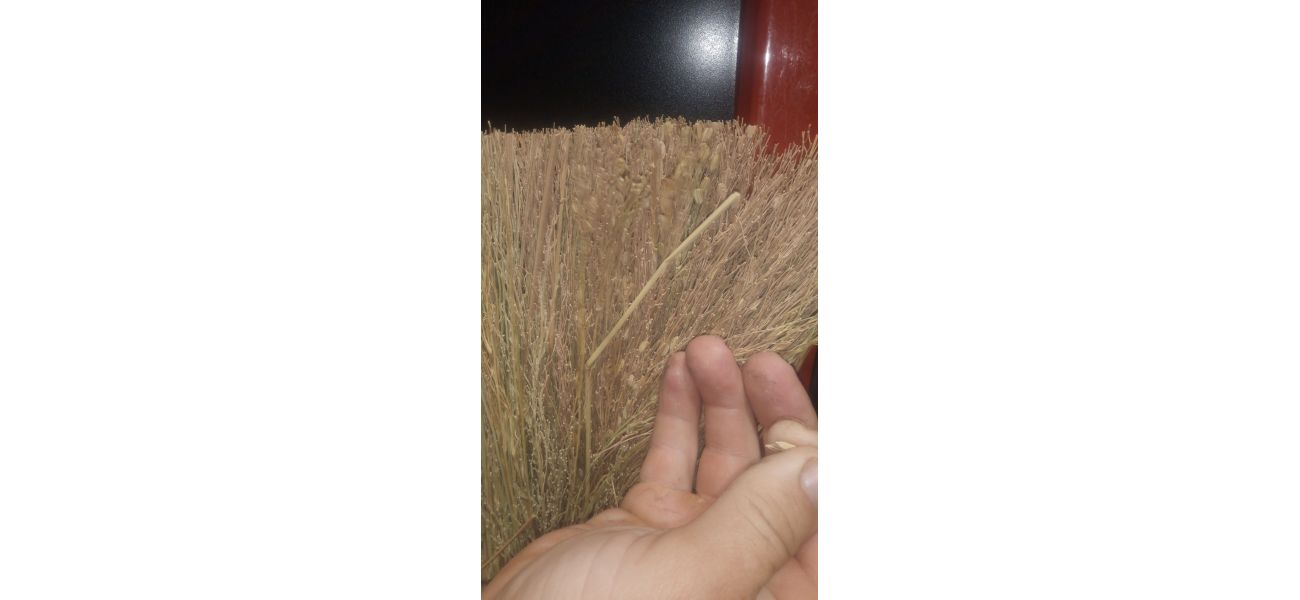 A discovery of a suspicious item at Bunnings has sparked a biosecurity investigation.