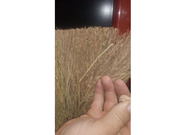 A discovery of a suspicious item at Bunnings has sparked a biosecurity investigation.