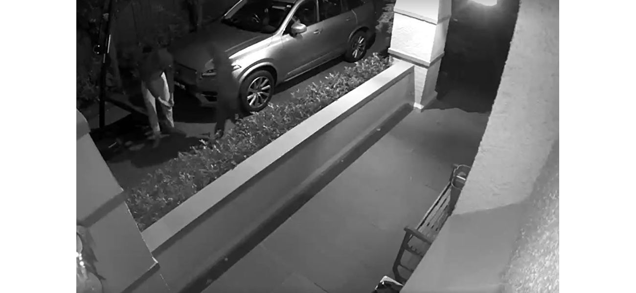 Burglars entered home through pet door, causing distress to kids.