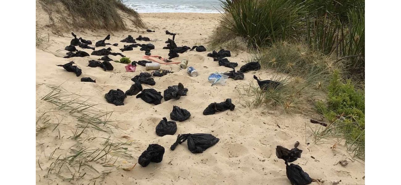Warning issued to dog owners after unpleasant finding on Australian beach.