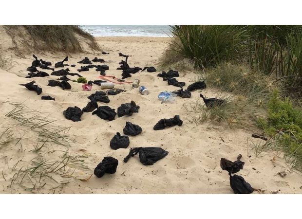 Warning issued to dog owners after unpleasant finding on Australian beach.