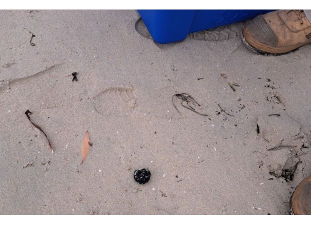 Mysterious black spheres keep appearing on Sydney beach