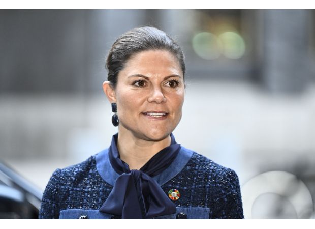 Police have taken a man into custody near a Swedish Princess' residence after he was found with handcuffs, tape, and a fake gun.