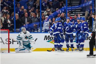 Sharks still have off days despite overall improvement.