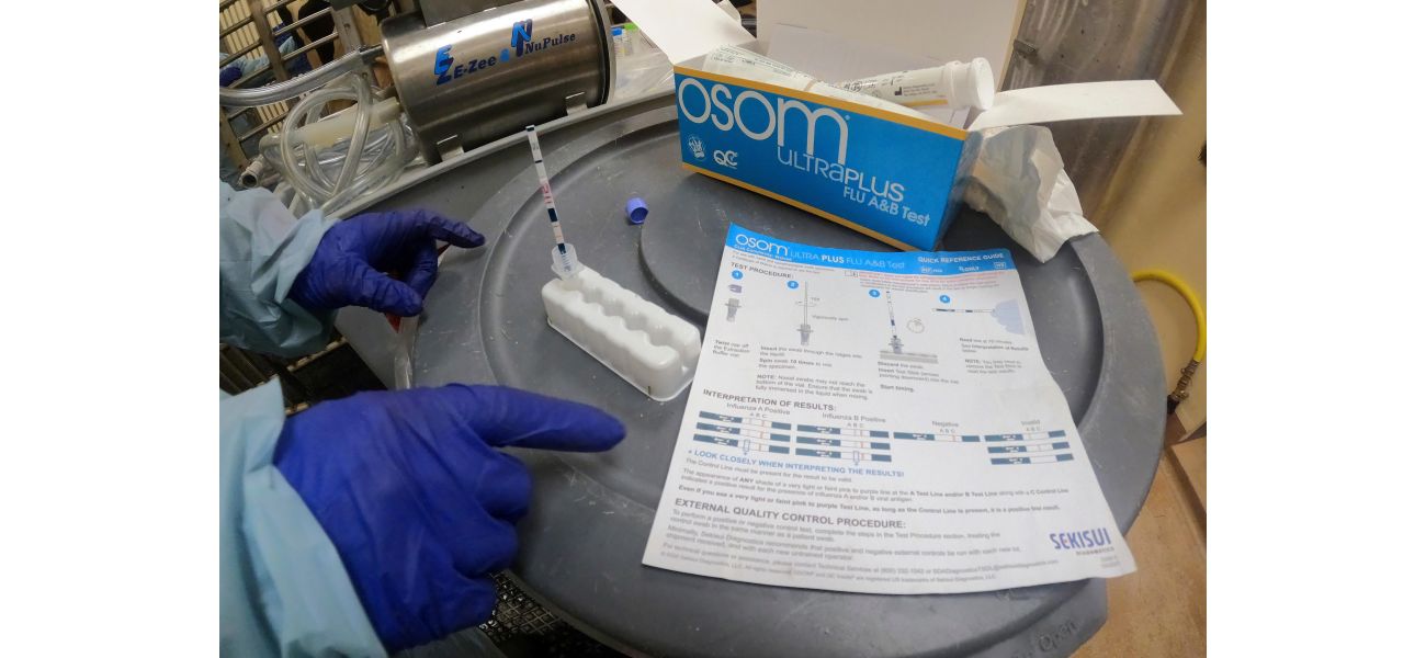 USDA mandates milk testing across the country to stop spread of avian flu.