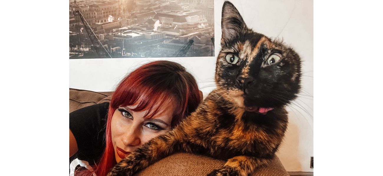 I adopted a one-eared cat and she's ended up costing me £10,000.