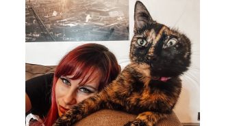 I adopted a one-eared cat and she's ended up costing me £10,000.