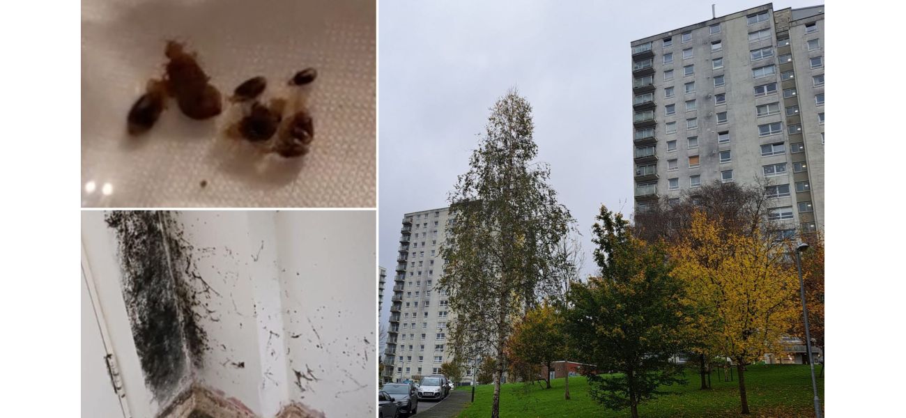 People living in a housing block are experiencing a nightmare due to a bedbug outbreak.