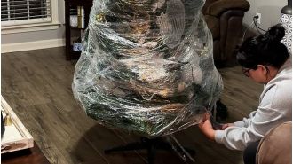 Surprising Christmas tree trick revealed with unbelievable results.
