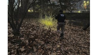 UnitedHealthcare CEO’s murder investigation finds clues but lacks answers.