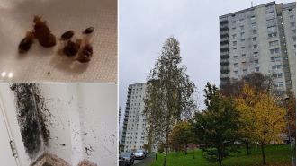 People living in a housing block are experiencing a nightmare due to a bedbug outbreak.