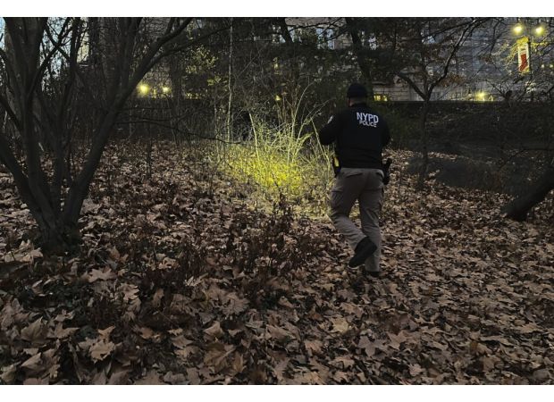 UnitedHealthcare CEO’s murder investigation finds clues but lacks answers.