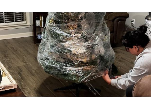 Surprising Christmas tree trick revealed with unbelievable results.