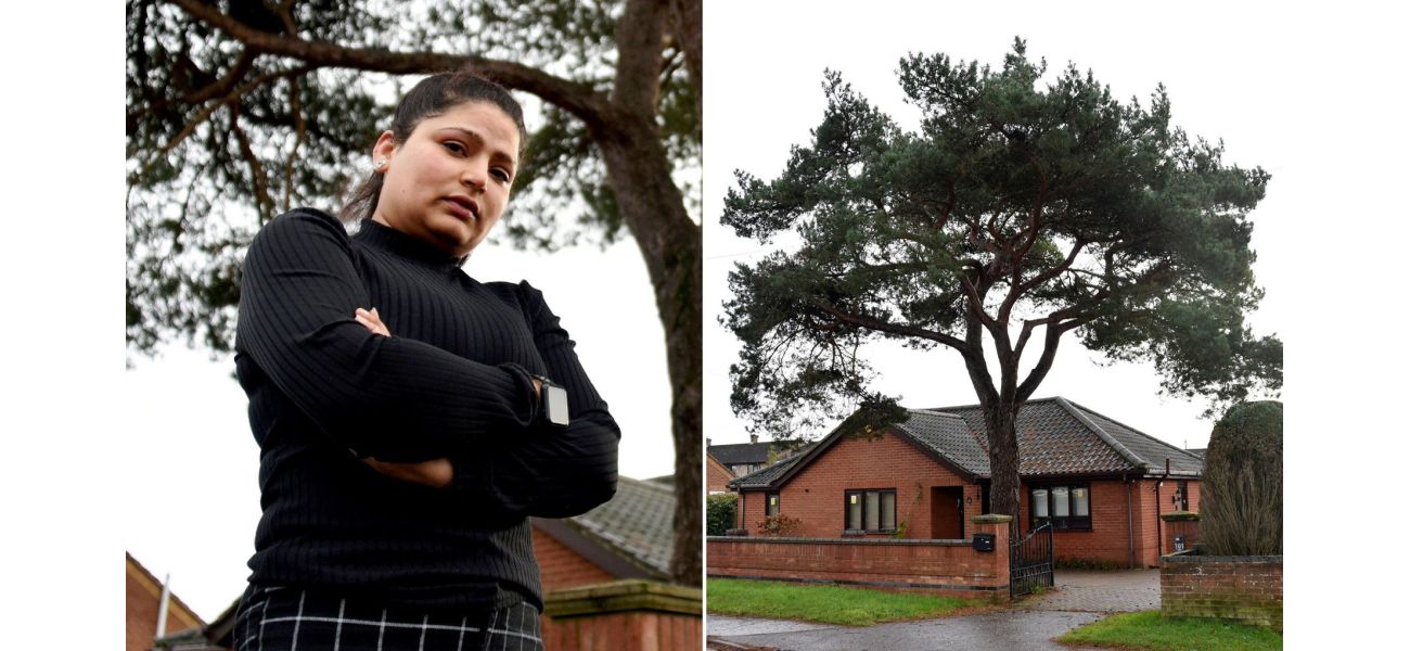 An allergic woman is banned from removing a tree on her property.