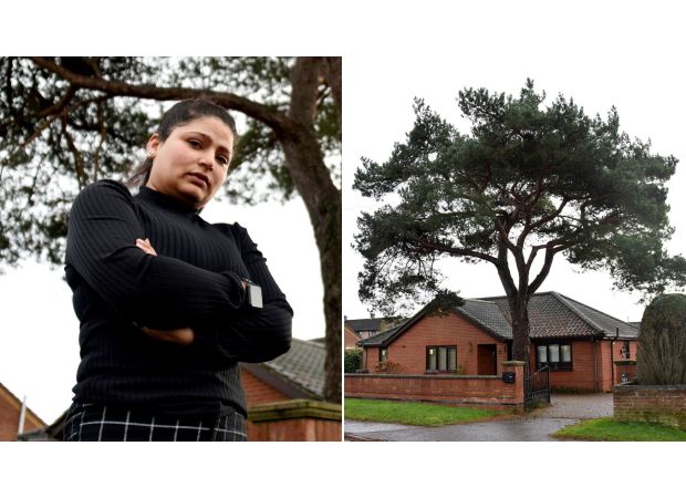 An allergic woman is banned from removing a tree on her property.