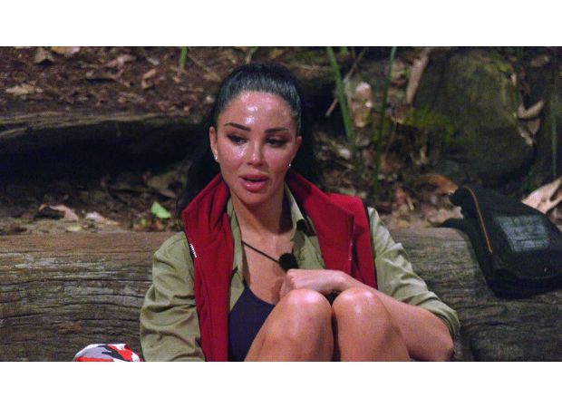 Tulisa apologizes for not being able to attend the I'm A Celebrity finale due to a sudden flight back home.