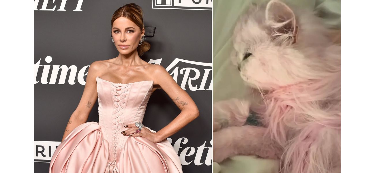 According to Kate Beckinsale, coloring her cat pink improved its mood.