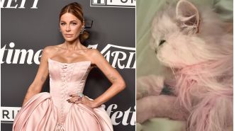 According to Kate Beckinsale, coloring her cat pink improved its mood.