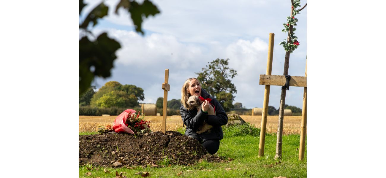 Emmerdale promises a Christmas miracle for Belle as a beloved character makes a comeback.