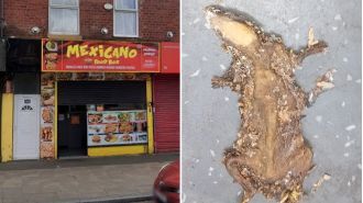 A dirty kebab establishment shut down due to discovery of deep-fried rodent by inspectors.