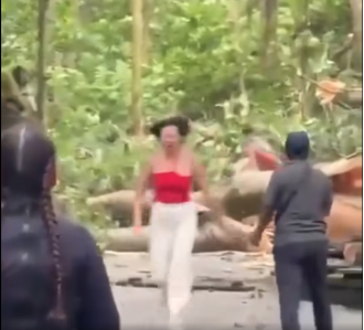 Two travelers died when a tree collapsed in the monkey-filled forest of Bali.