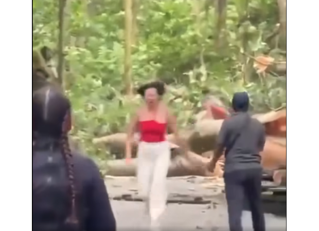 Two travelers died when a tree collapsed in the monkey-filled forest of Bali.