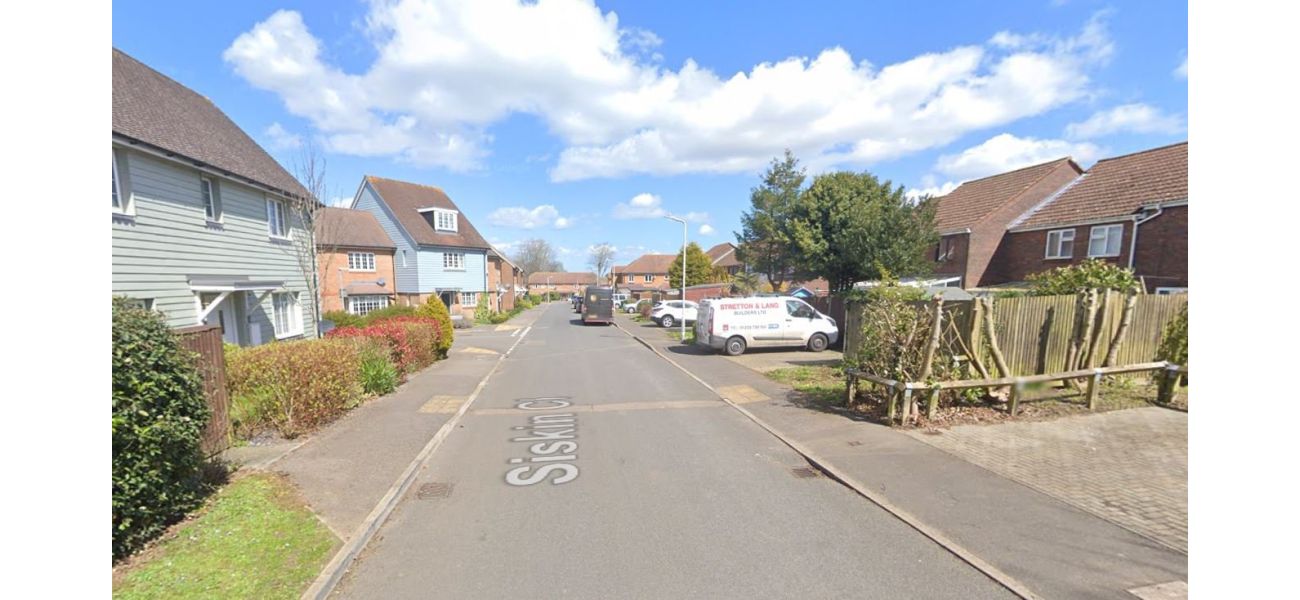 Infant girl critically injured in assault by 'XL Bully' canine.